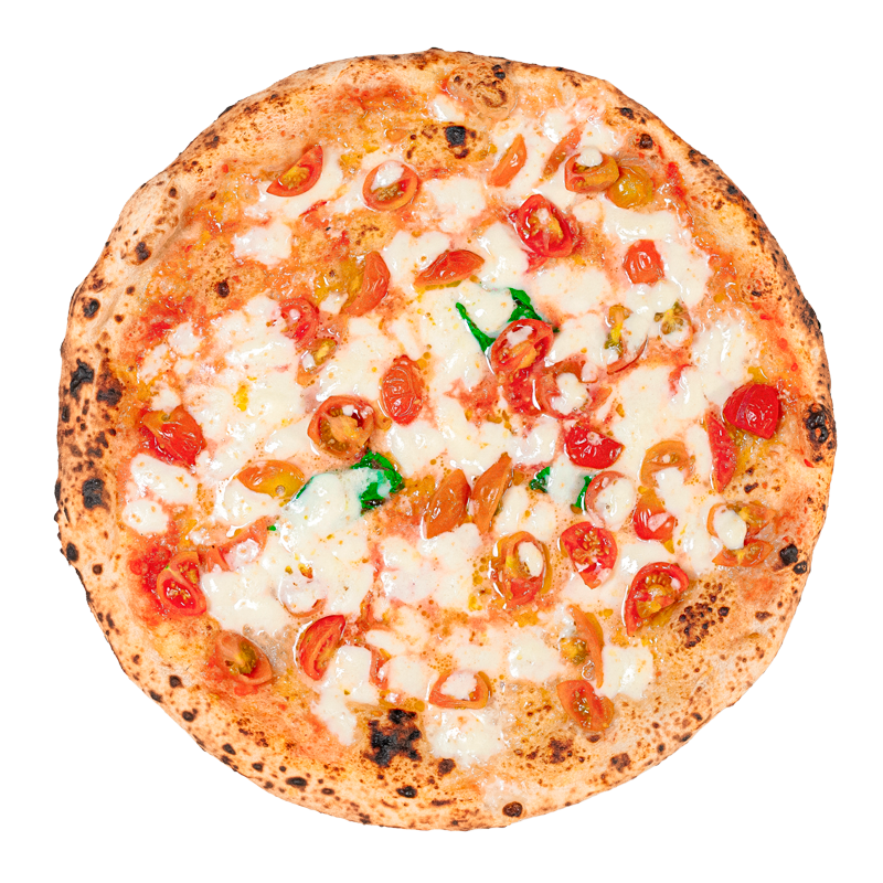Alfiletto NAP
